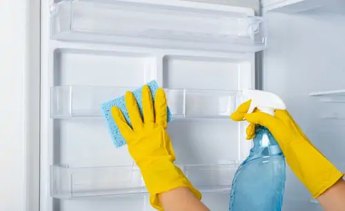How to Deep Clean Your Refrigerator for Peak Performance
