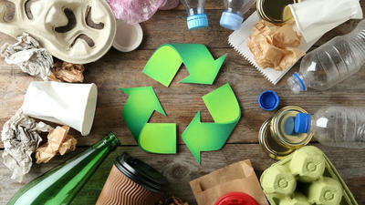 Recycling 101: Sorting Trash for a Greener Home